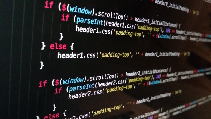 Software Developer